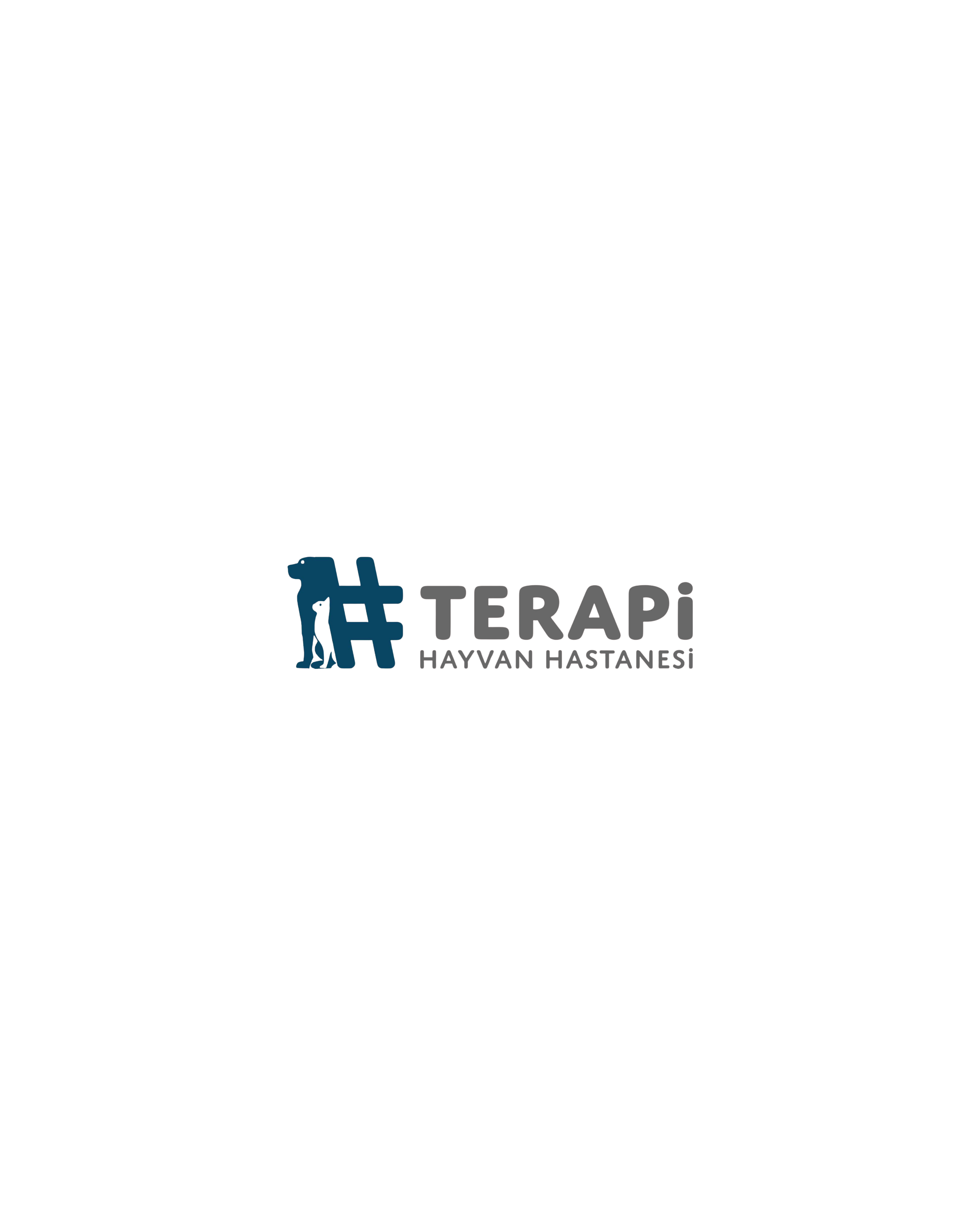 Terapi Hayvan Hastanesi - Adana Reklam Ajansı Referansı
